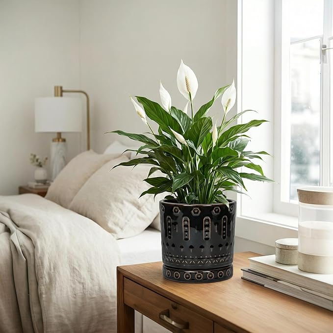 8 Inch Pots for Plants, Ceramic Plant Pot for Indoor Outdoor, Round Planter with Drainage Hole and Tray, Modern Flower Pot, Decorative Plant Pots, Room Decor, House Warming Gifts, Black