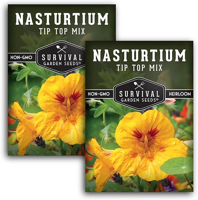 Nasturtium Seeds for Planting Outdoors – Tip Top Mix Heirloom Variety of Edible Flowers & Companion Plants, Non-GMO Seeds for Home Gardens - Survival Garden Seeds (2 Packs)