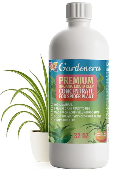 GARDENERA Premium Organic Seaweed & Kelp Superfood for Snake Plant Plants - 32 oz - Liquid Kelp Fertilizer Concentrate (Makes 180 Gallons)