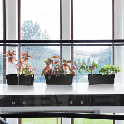 Window Box Planter with Tray, 12" Rectangle Plant Pot, Pack of 3 (Black)