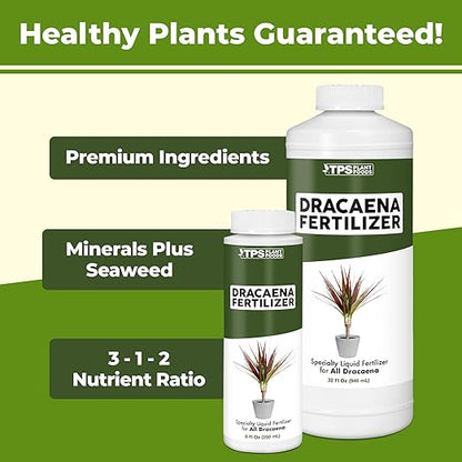 Dracaena Fertilizer - Liquid Plant Food for All Dracaena Plants and Trees, 8 oz