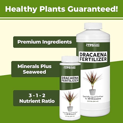 Dracaena Fertilizer - Liquid Plant Food for All Dracaena Plants and Trees, 32 oz