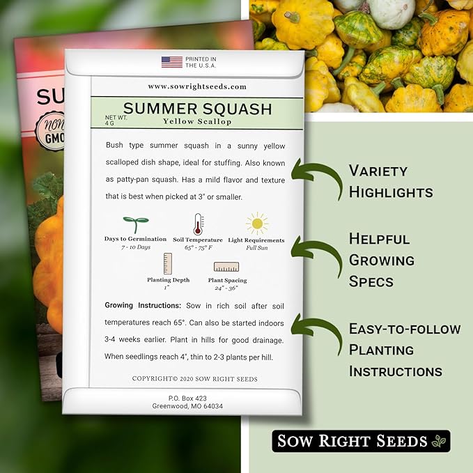 Sow Right Seeds - Yellow Scallop Squash Seed for Planting - Non-GMO Heirloom Packet with Instructions to Plant a Home Vegetable Garden, Traditional Summer Variety - Tasty Mini Squash (2)