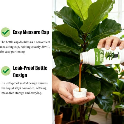 10oz Fiddle Leaf Fig Plant Food for All Fig and Other Ficus Trees, Liquid Houseplant Fertilizer for Ficus Plants, Ideal Fiddle Leaf Fertilizer, Ficus Plant Food for Improves Leaves and Branches