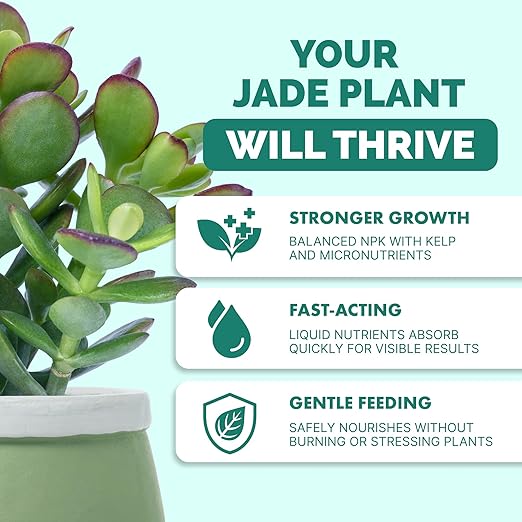 TPS NUTRIENTS Jade Fertilizer for All Jade and Crassula Plants, Liquid Plant Food 8 oz (250mL)