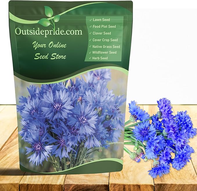Outsidepride Blue Cornflower Seeds for Planting - 5 lb. Annual Bachelor's Button Flower Seeds for Cut Flower Gardens, Drought-Tolerant, Attracts Pollinators, Ideal for Borders & Bouquets