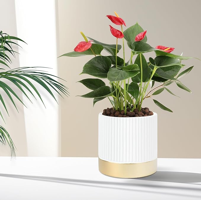 Set of 3 Cement Planter Pots with Drainage Hole,4 inch Plant Pots for Plants Indoor Houseplants,Succulent Pots Windowsil Planter (White&Gold)