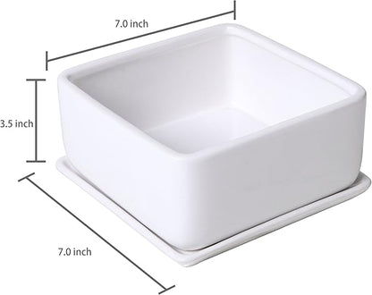 MyGift Modern White Ceramic Square Indoor Small Planter, Flower Succulent Plant Pot with Drainage Hole and Removable Drip Tray