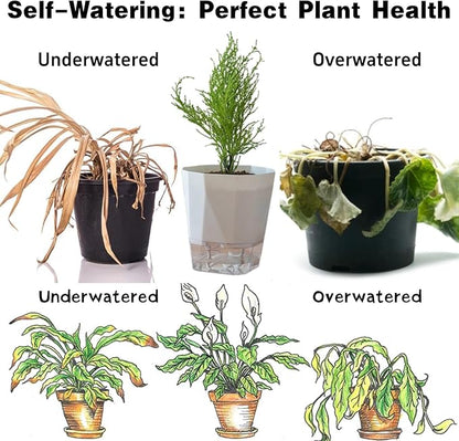 3 Packs Self Watering Plant Pots, Plastic Flower Pots with Drainage Hole and Saucer, Self Watering Planters for Indoor Outdoor Garden Plants, African Violet, Herbs (White, 6.7")