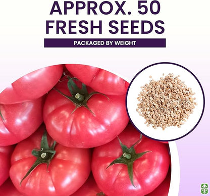 Pink Brandywine Tomato Seeds for Planting – Heirloom, Large & Juicy – One of The Most Delicious Tomatoes for Home Growing – Vegetable Seeds for Planting - Grown in The USA