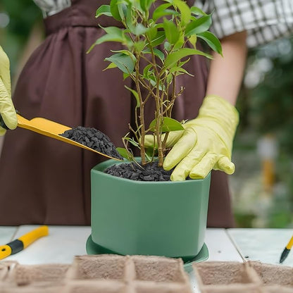 9 Quarts Horticultural Charcoal for Plants-Plant Charcoal Soil Amendment for Potting Indoor Plants, Succulent, Paphiopedilum, Bonsai, Terrarium,and Gardening