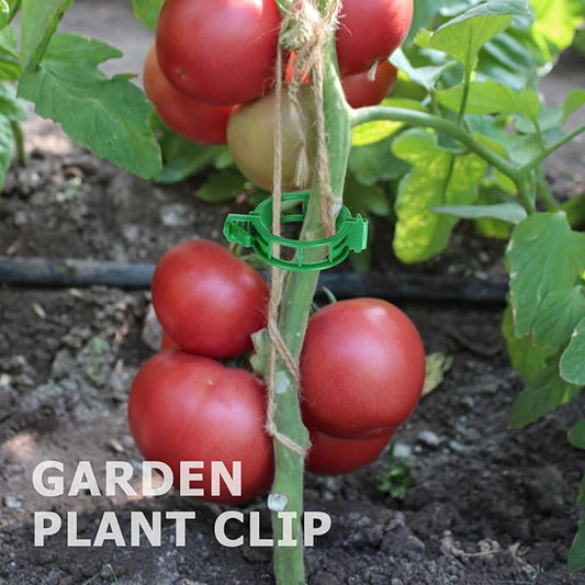 400PCS Plant Support Clips, Tomato Clips, Plastic Garden Clips, Vine Clips for Tomato Cucumber Flower Squash Vine, 1.2” Inner Diameter, Prevent Tomatoes from Pinching or Falling Off（Green） ﻿