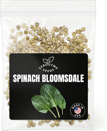 Spinach Bloomsdale Long Standing Seeds for Planting – 500+ Savoy Leaf Spinach Seeds, Non-GMO Heirloom, High Germination, Slow Bolt, Indoor & Outdoor Garden (Spinacia oleracea)