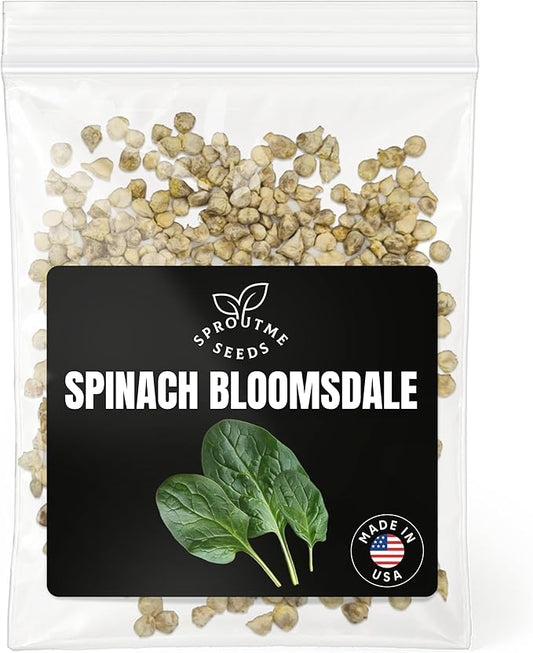 Spinach Bloomsdale Long Standing Seeds for Planting – 500+ Savoy Leaf Spinach Seeds, Non-GMO Heirloom, High Germination, Slow Bolt, Indoor & Outdoor Garden (Spinacia oleracea)