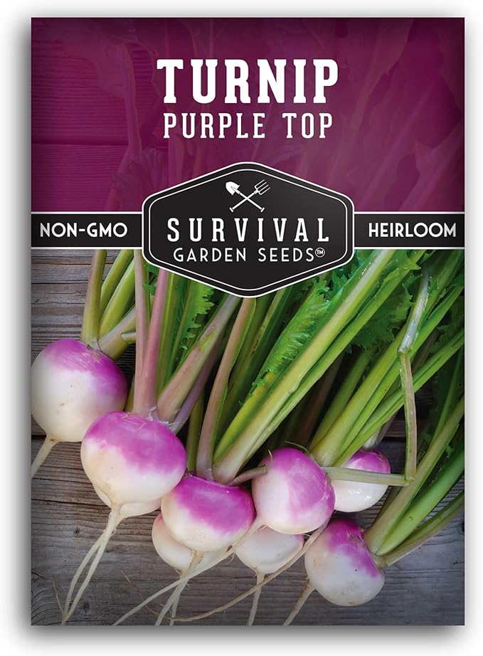 Turnip Seeds for Planting | Purple Top Heirloom Non-GMO Variety | Root Vegetable for Fall & Spring Home Gardens - Survival Garden Seeds (1 Pack)