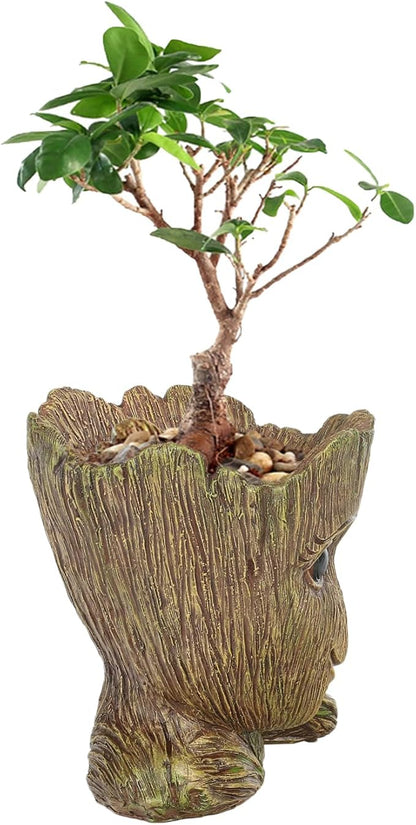 Funny Planter Head Planter with Drainage Hole Resin Plant Pot Pencil Holder Desk Storage(Funny Tree)
