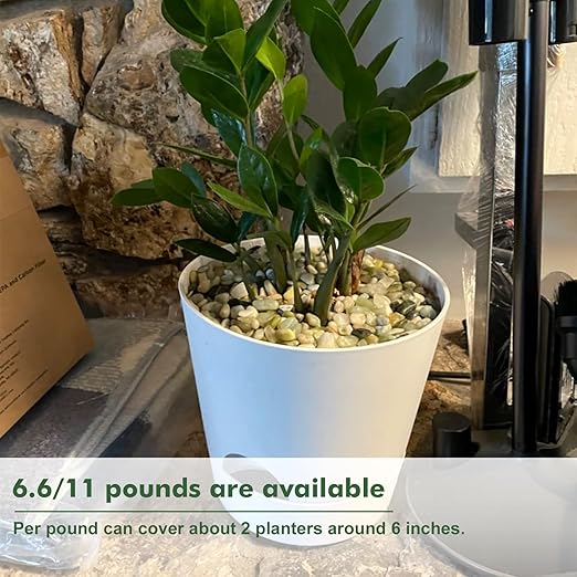 6.6 lbs Succulent and Cactus Bonsai Pebbles, 6-9mm Decorative Landscaping Polished Stones Natural Garden Gravel Rocks for Indoor Outdoor Plants Aquariums DIY, and Gardening Top Dressing, Jade Green