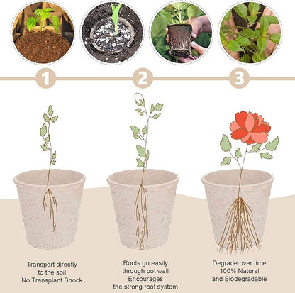 Biodegradable Peat Pots Set (10-Piece)
