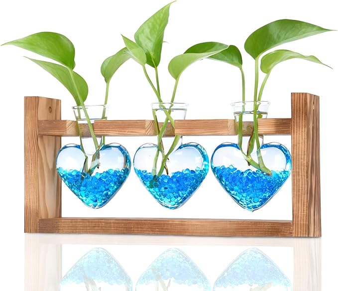 Nacome Plant Terrarium Propagation Stations: Birthday Gifts for Plant Lovers Women Mom Wife Daughter - 3 Bulb Glass Vase with Wooden Stand Tabletop for Hydroponics Home Garden Wall Decor