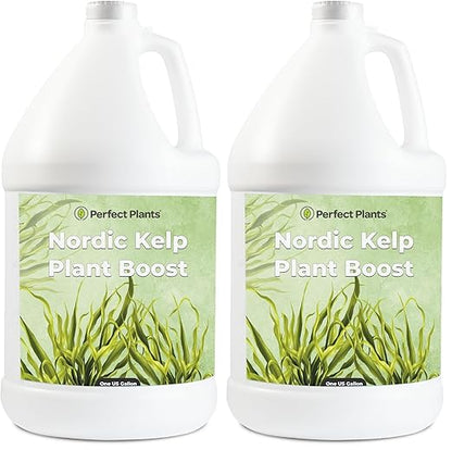 Nordic Kelp Boost Liquid - Perfect Plants (1 Gallon) (Pack of 2)