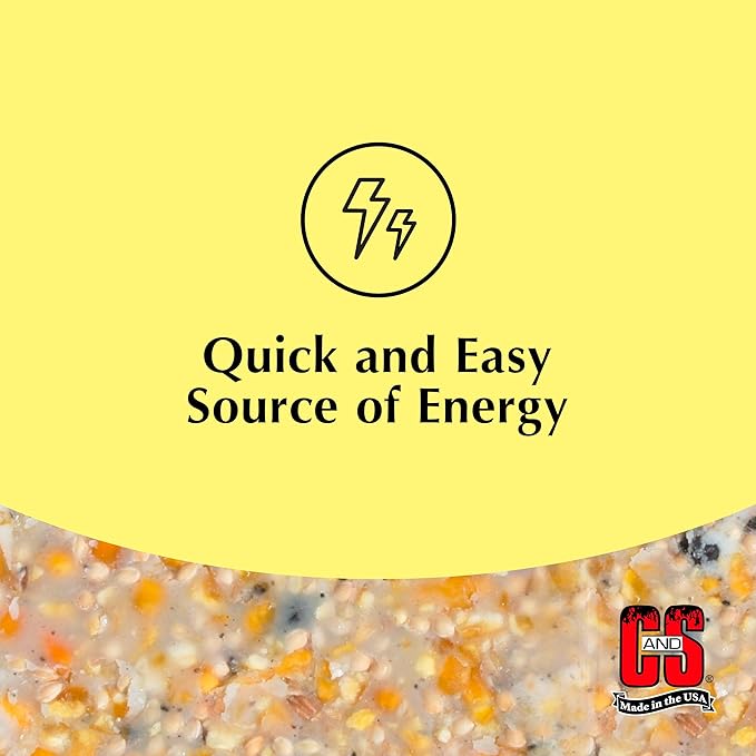 C&S High Energy Suet Treat, Wild Bird Food for Woodpeckers, Nuthatches, Chickadees and Jays, 8 Pack