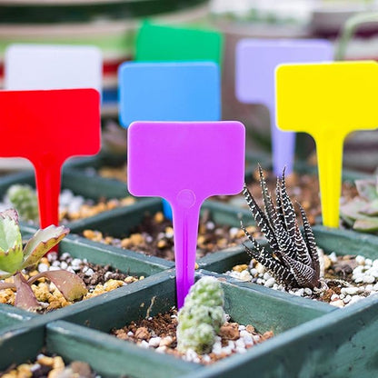 Set of 6 Original Bell Jar Cloches, 10IN Reused Plant Protector Cover Mini Greenhouse with Plant Labels Garden Cloche Dome Plant Bell Cover Plastic Plant Bell Cover for Garden Outdoors(#1)