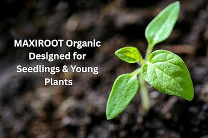 Organic Seedling Solution, Liquid Fertilizer for Seedlings, Cuttings & Clones – Natural Seaweed & Fish-Based Plant Food for Strong Root Growth. 32 oz
