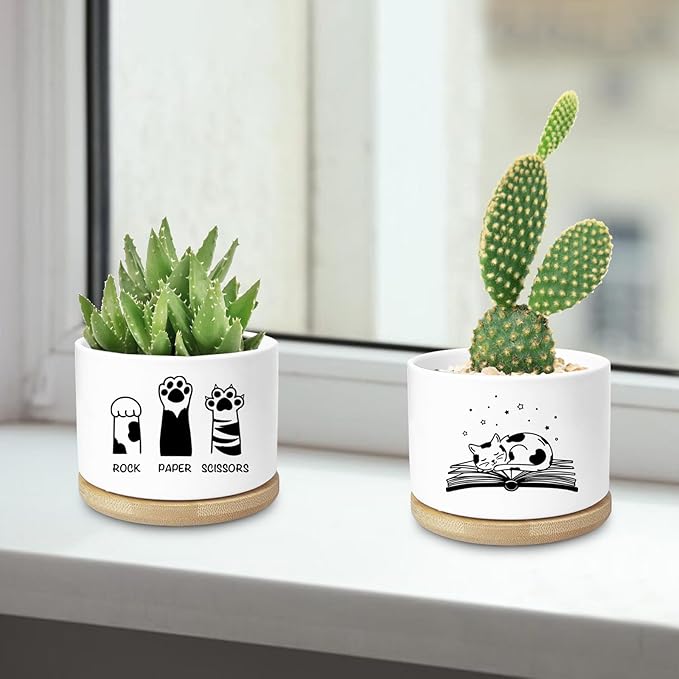 Funny Cat Ceramic Planter Pot, Cute Succulents Pots for Indoor Cat Lover Women Friends Coworker Sister Bestie Birthday, Office Desk Windowsill Decor (Plants Not Included)