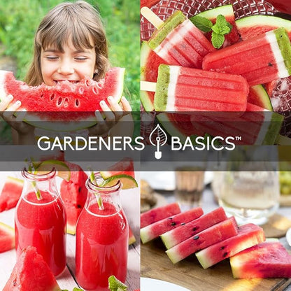 Gardeners Basics Watermelon Fruit Seeds for Planting Home Garden 5 Variety Packets - Crimson Sweet, Jubilee Improved, Tendersweet Orange, Charleston Grey, and All Sweet Watermelon Seed Packs