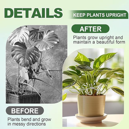 8pcs Upgraded Plant Stem Support, Transparent Plant Support for Indoor Plants, 4 Sizes Climbing Houseplant Stem Holders, Reusable Plant Stabilizer, Indoor Plants Accessories