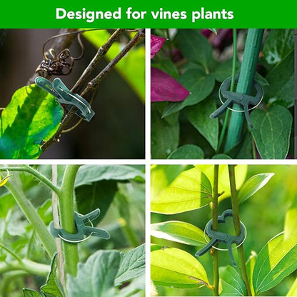 iPower 80 PCS Clips for Straightening Bamboo Stakes and Tomato Cages, Gardening Tools for Supporting Climbing Vines, Stalks, Stems and Plant Trellis, Green