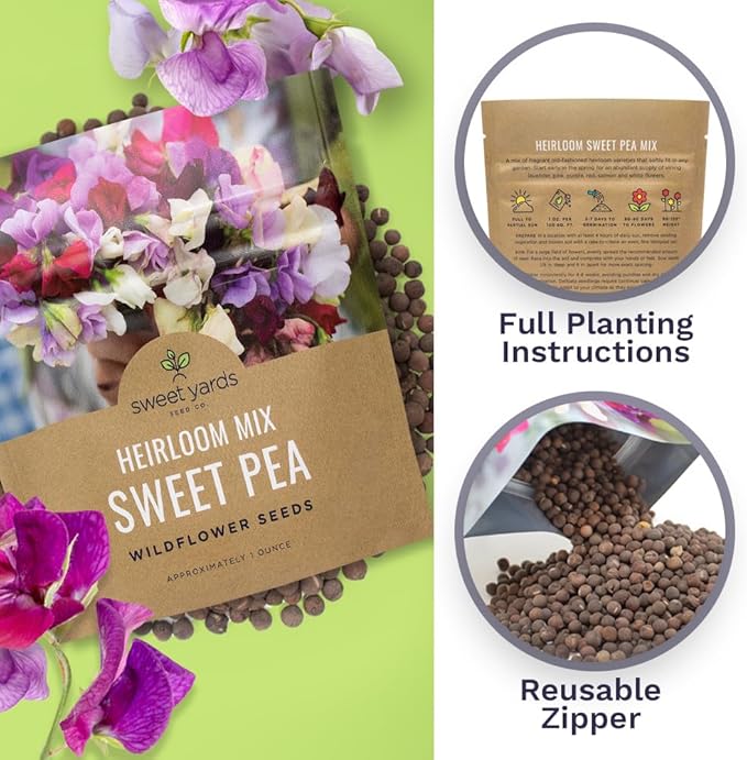 Sweet Pea Seeds Heirloom Mix - Bulk 1 Ounce Packet - Over 350 Seeds - Large Fragrant Lavender, Purple, Red, Pink and White Blooms