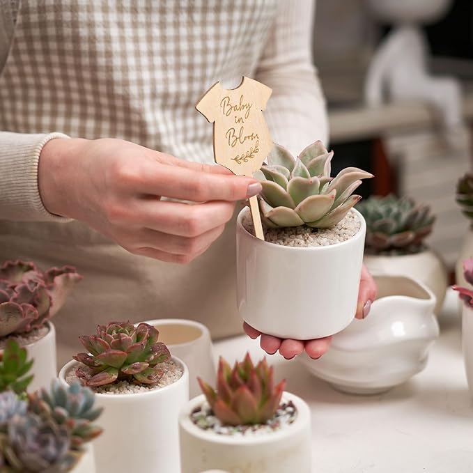 30Pcs Baby in Bloom Plant Labels Baby Shower Wooden Plant Stakes Gift Succulent Garden Marker Plant Sign for Seed Potted Supplies