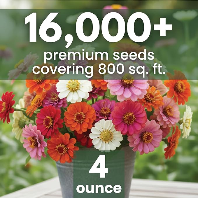 Zinnia ‘Cut and Come Again’ – 16,000 Seeds for Planting – 4 Ounce Pouch
