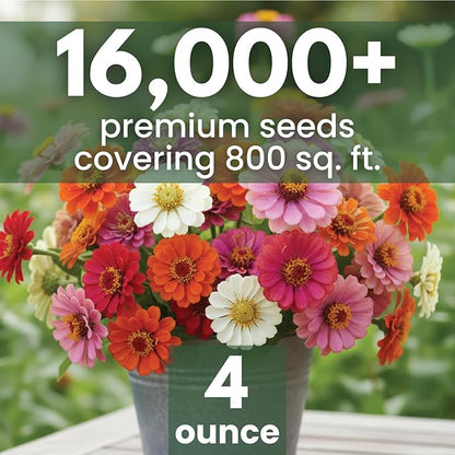 Zinnia ‘Cut and Come Again’ – 16,000 Seeds for Planting – 4 Ounce Pouch