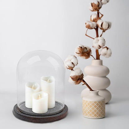 Glass Dome with Base for Display, Wooden Cloche Bell Jars 5.9" x 7.87" Case Cover Large Terrarium Cloches Pocket for Watch Flower Small Plastic Ornament Candle Plant Decorative Home Party Wedding Decor