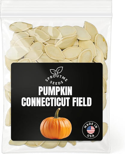 Pumpkin Connecticut Field Seeds for Planting – 100+ Heirloom Non-GMO Jack O Lantern Pumpkin, Large Carving & Baking Variety for Fall Harvest, High Germination (Cucurbita Pepo)