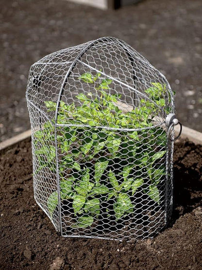 Gardener’s Supply Company Chicken Wire Cloche Garden Row Plant Protector | Sturdy Metal Protection for Seedlings and Crops from Wild Animals & Pets | 2 Section Set