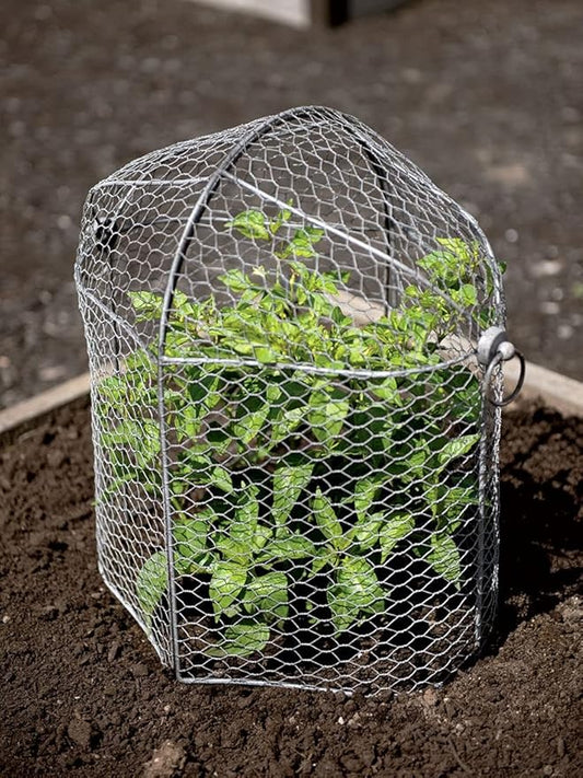 Gardener’s Supply Company Chicken Wire Cloche Garden Row Plant Protector | Sturdy Metal Protection for Seedlings and Crops from Wild Animals & Pets | 2 Section Set