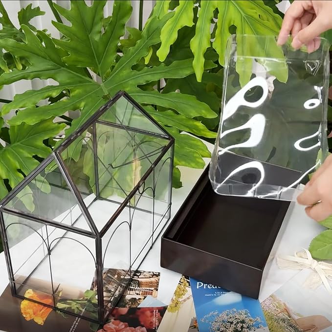 HighFree Large Glass Terrarium with Metal Tray, Glass Greenhouse Terrarium, Succulent Terrarium Kit for Succulents, Cacti, Snails, Spiders, and Miniature Reptiles, Black (Velvet Bottom)