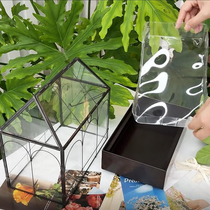 HighFree Large Glass Terrarium with Metal Tray, Glass Greenhouse Terrarium, Succulent Terrarium Kit for Succulents, Cacti, Snails, Spiders, and Miniature Reptiles, Black (Velvet Bottom)