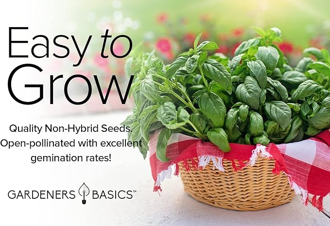 Gardeners Basics, Basil Seeds for Planting Home Garden - 8 Variety Herb Pack Genovese, Large Leaf, Lemon, Thai, Red Rubin, Cinnamon, Sweet and Purple Opal Basil Herb Seeds for Indoors & Outdoors