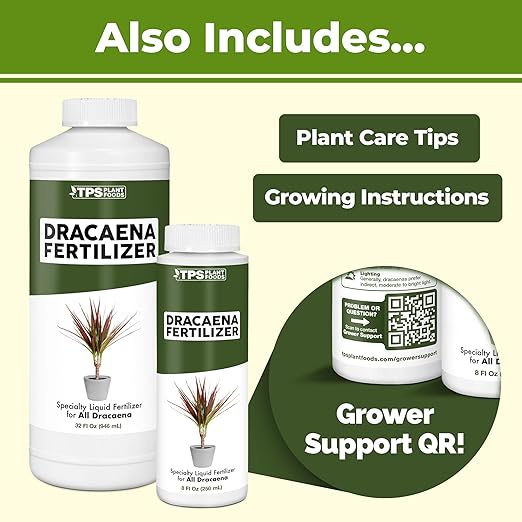 Dracaena Fertilizer - Liquid Plant Food for All Dracaena Plants and Trees, 8 oz