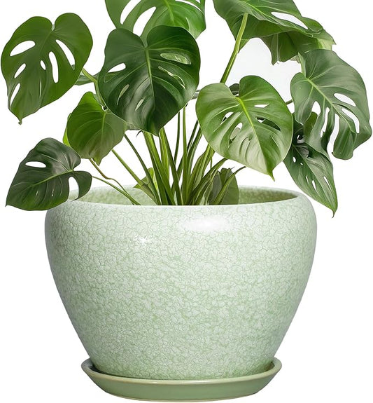 Ceramic Planter - 8 Inch Plant Pot with Drainage Hole and Saucer, Indoor Planters for Indoor Outdoor Plants, Decorative Flower Pots, Office Decor, Plant Lover Gifts, Crackle Light Green