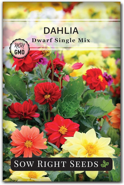 Sow Right Seeds - Dwarf Flower Seed Collection for Planting - Individual Packets of Zinnia Thumbelina, White Linen Poppy, Tetra Snapdragon, Dwarf Dahlia, and Sparky Marigold Non-GMO Heirloom Seeds