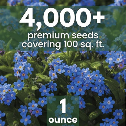 Chinese Forget Me Not – 4,000 Seeds for Planting – 2026 Season – 1 Ounce Pouch