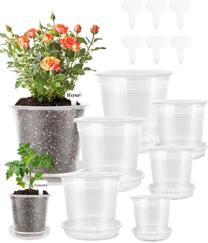 6 Pack Clear Nursery Pots with Drainage 9.5/8/7.5/6.7/5/4.5 Inch Nursery Pots with Saucers Transparent Seedling Pots Including Plant Labels Seed Starting for Indoor Outdoor Home Gardening
