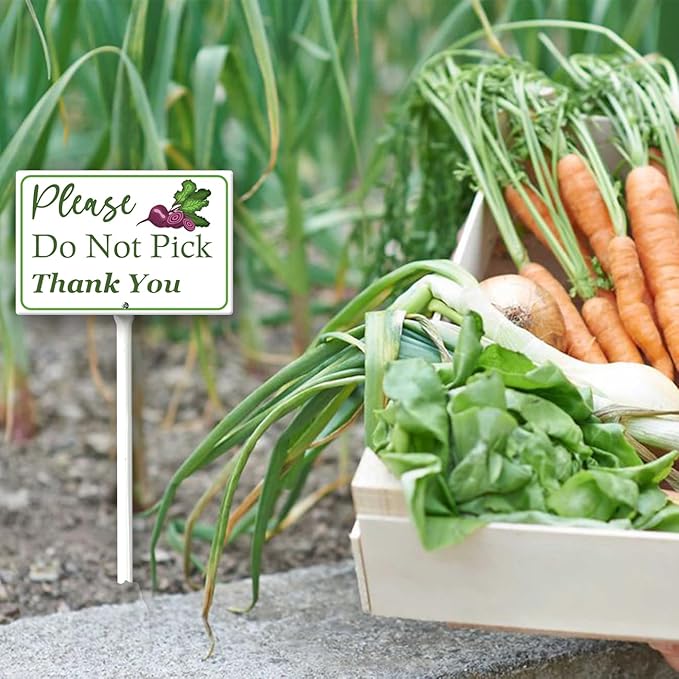 Boylee (8X12) IN Please Do Not Pick Ripe Red Beets Thank You Yard Sign With Stake Rustproof Aluminum Fruit Vegetable Signs Stand for Home Orchard Garden Outdoor Decoration