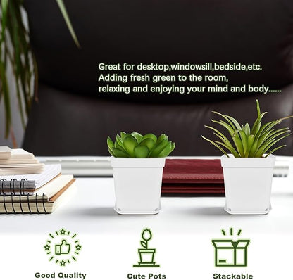 Anyumocz 24Pcs 3" Square Plastic Plant Pots,White Nursery Pots with Saucers,Seedling Nursery Transplanting Planter Container for Plants,Garden,Flower,Home,Office,Balcony Decor,Indoor,Outdoor