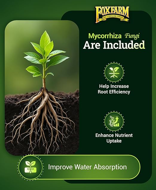 FoxFarm Happy Frog Vegetable & Tomato Fertilizer - Organic Vegetable Fertilizer for Vigorous Feeders, 5-7-3 Blend with Calcium & Mycorrhizal Fungi, Supports Abundant Fruit & Disease Resistance, 4 lb